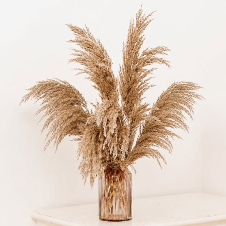 GOALS Pampafű Csokor 10 db Barna Boho Dekoráció 60 cm Száraz Virágcsokor Esküvői és Őszi Otthoni Dísz
