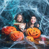 Halloween Dekoratív Pókháló Készlet 120g Nyújtható Pókhálóval , 24 Műanyag Pókkal - Outlet24