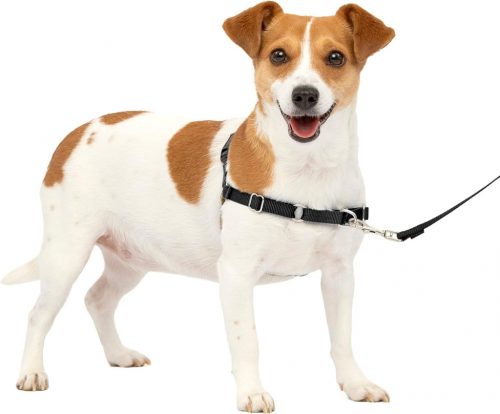 PetSafe Easy Walk Fekete Hámok Kutyáknak - Húzásgátló, Fojtásmentes S Méret + 1,8m Póráz